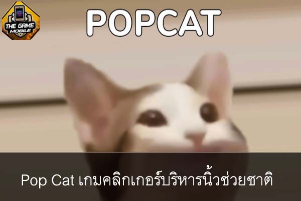 Pop Cat เกมคลิกเกอร์บริหารนิ้วช่วยชาติ