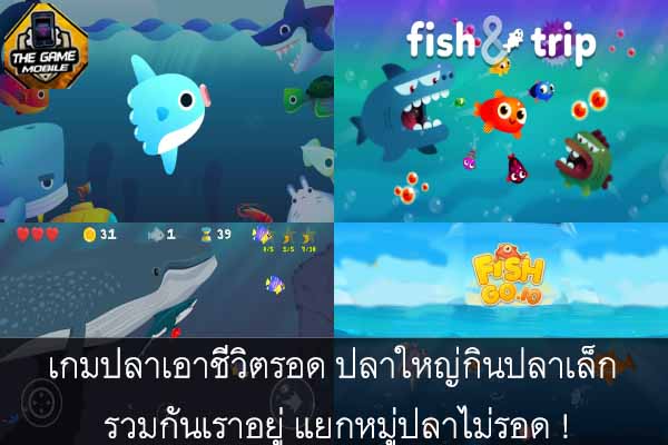 รวม 4 เกมปลาเอาชีวิตรอด ปลาใหญ่กินปลาเล็ก รวมกันเราอยู่ แยกหมู่ปลาไม่รอด !