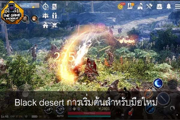 Black desert การเริ่มต้นสำหรับมือใหม่