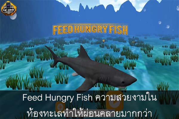 Feed Hungry Fish ความสวยงามในท้องทะเลทำให้ผ่อนคลายมากกว่า