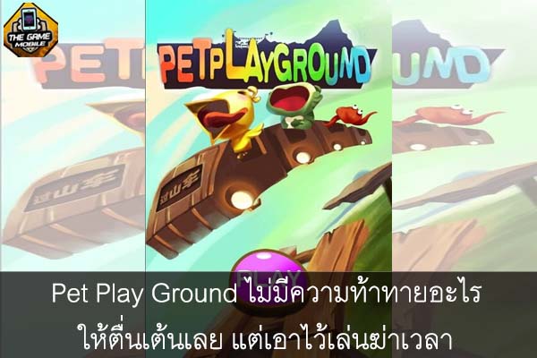 Pet Play Ground ไม่มีความท้าทายอะไรให้ตื่นเต้นเลย แต่เอาไว้เล่นฆ่าเวลา