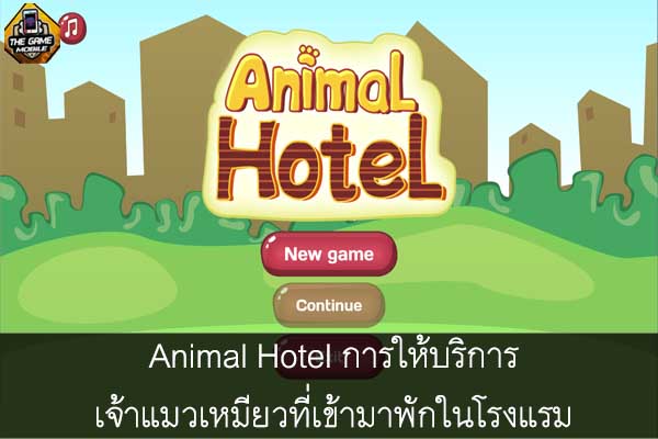 Animal Hotel การให้บริการเจ้าแมวเหมียวที่เข้ามาพักในโรงแรม